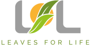 lflexports.com